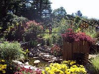 photos 2000-200902720